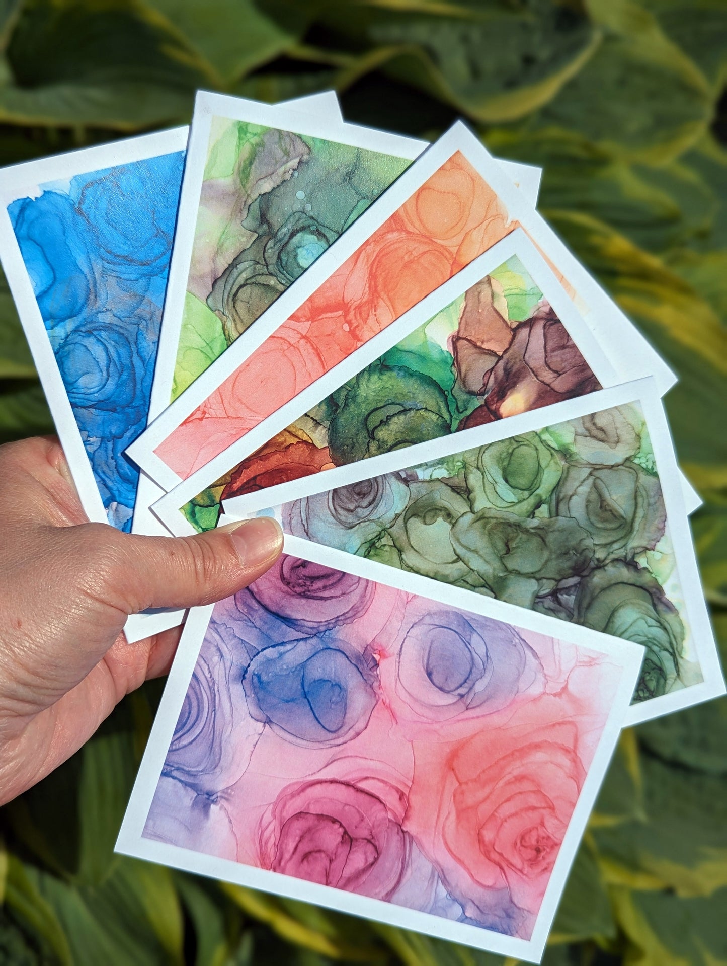 Hand holding six greeting cards fanned out with green and yellow leaves in the background.