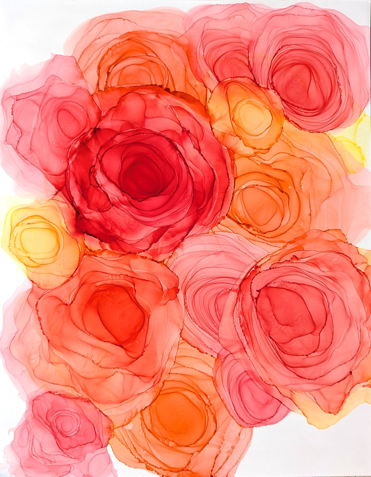 sunlit petals | abstract art original