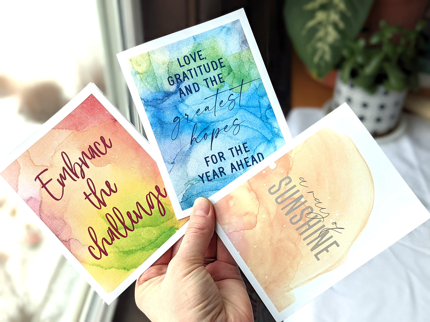 Hand holding three greeting cards fanned out near a window.