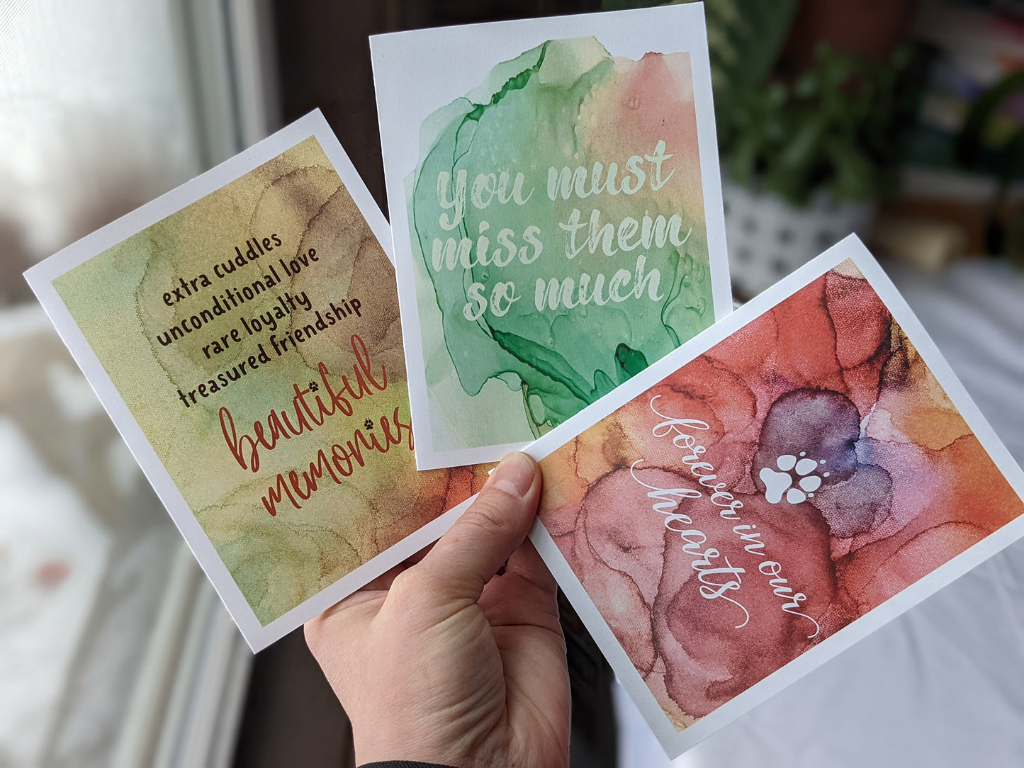 Hand holding three greeting cards fanned out near a window.