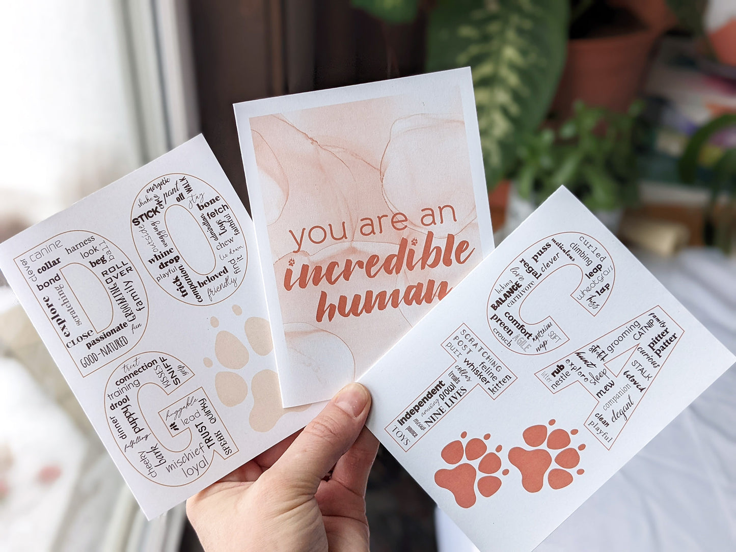 Hand holding three greeting cards fanned out near a window.