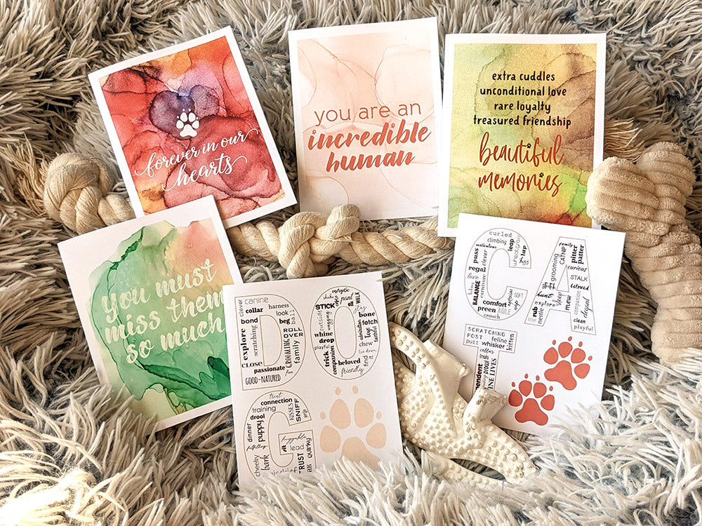 6 greeting cards arranged in a fluffy pet bed among pet toys.