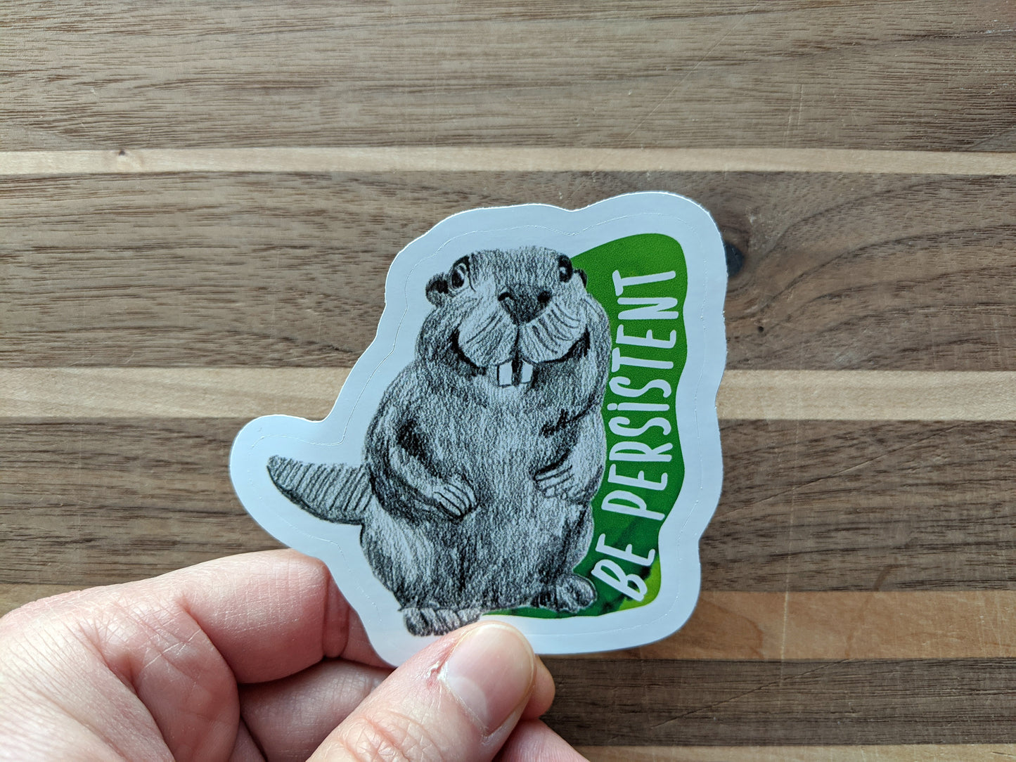 Hand holding a sticker with a wooden surface in the background.