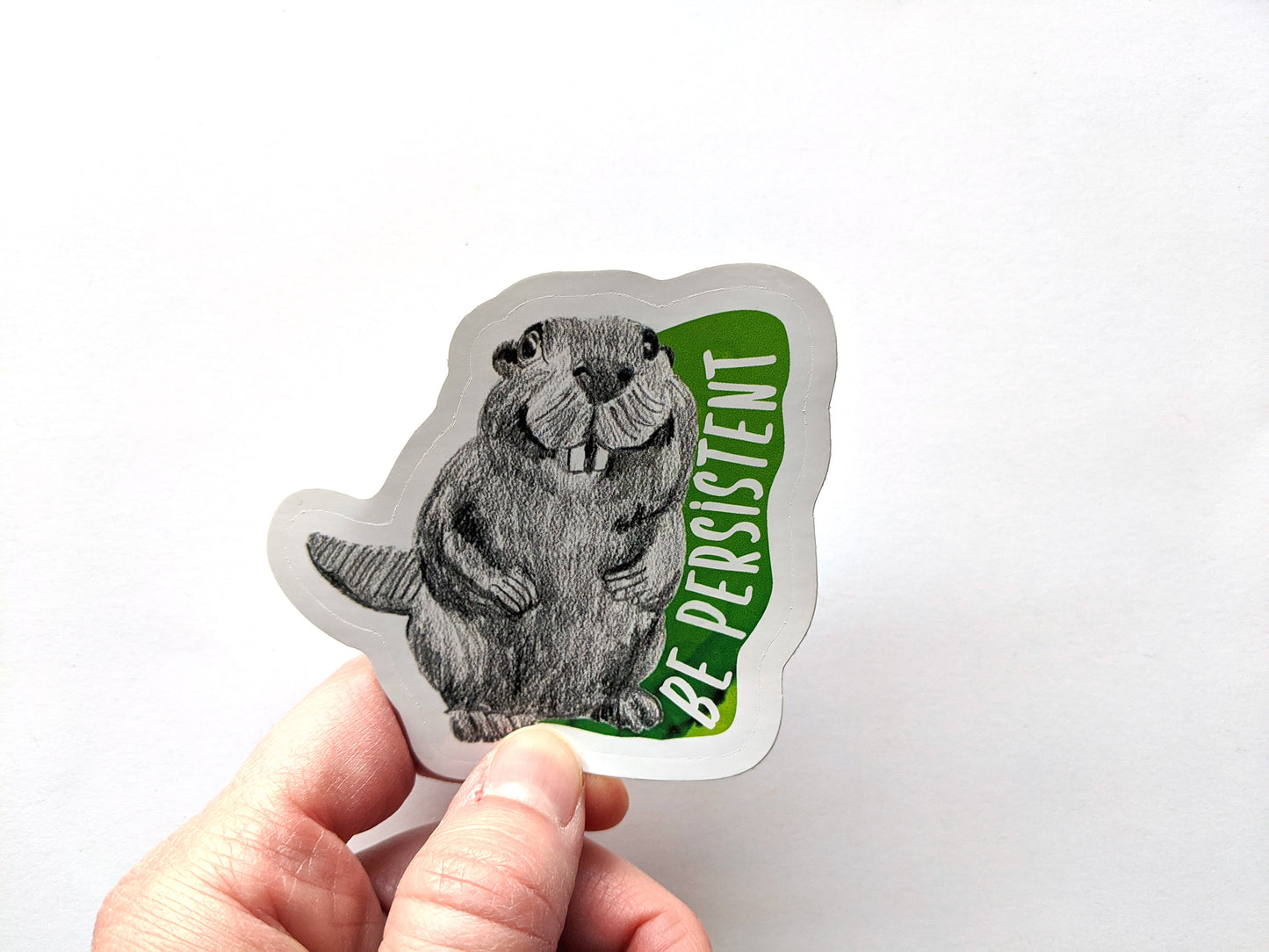 Hand holding a sticker with a white surface in the background.