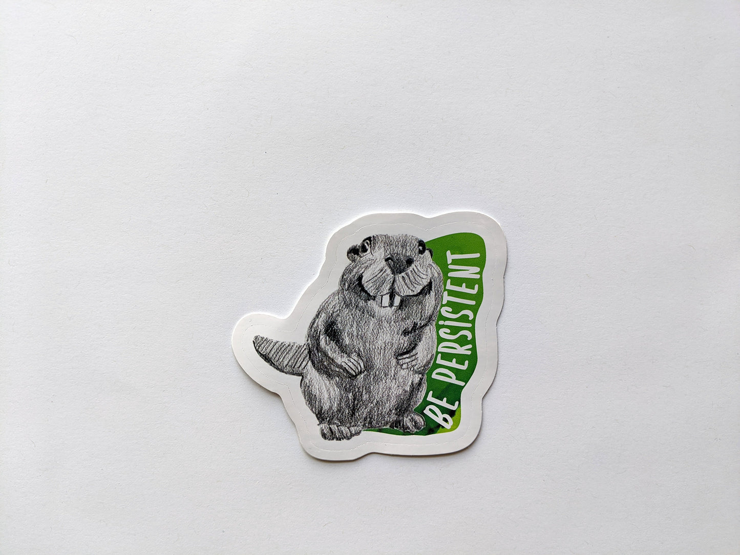 Hand holding a sticker with a white surface in the background.