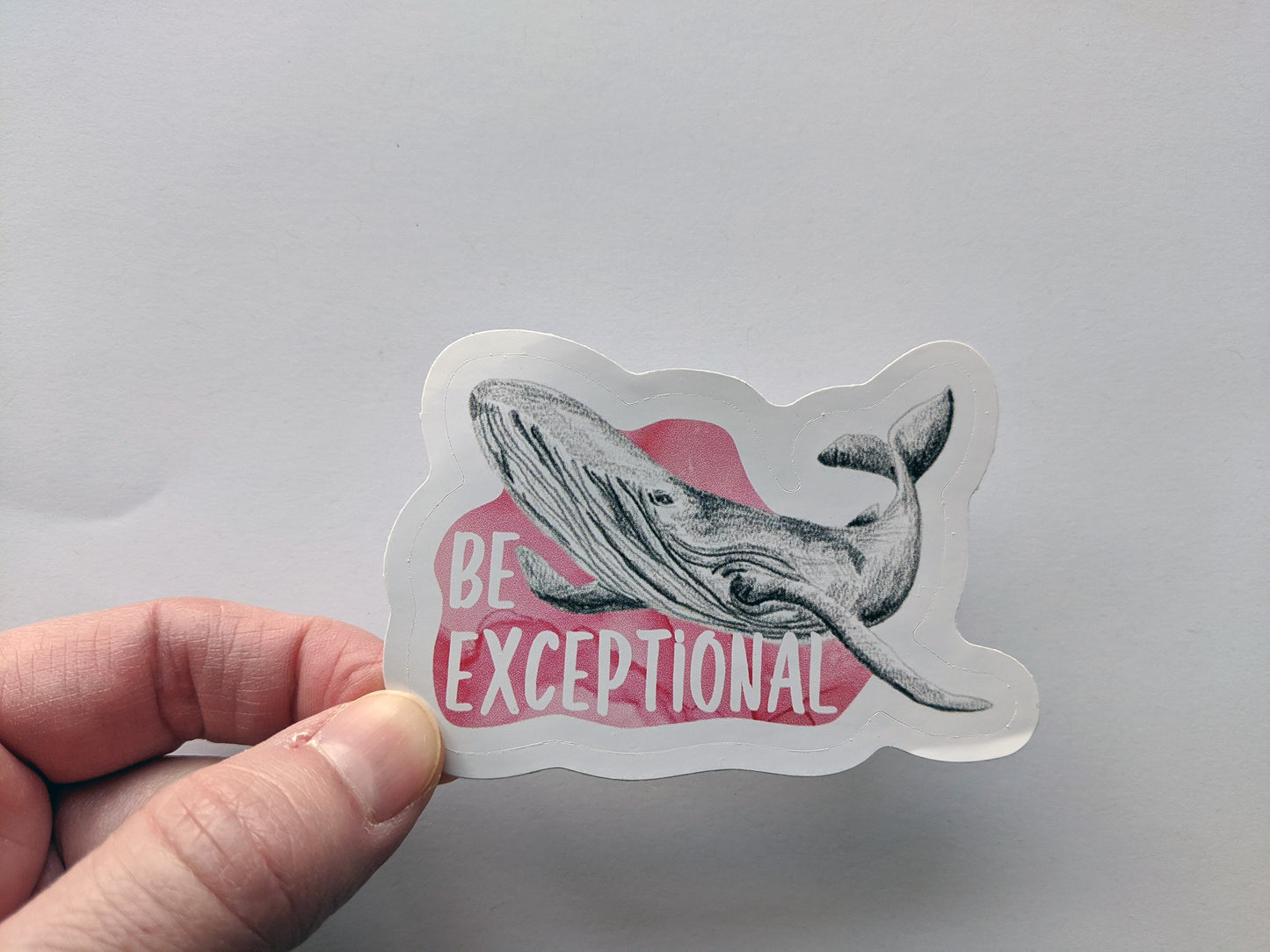 Hand holding a sticker with a white surface in the background.