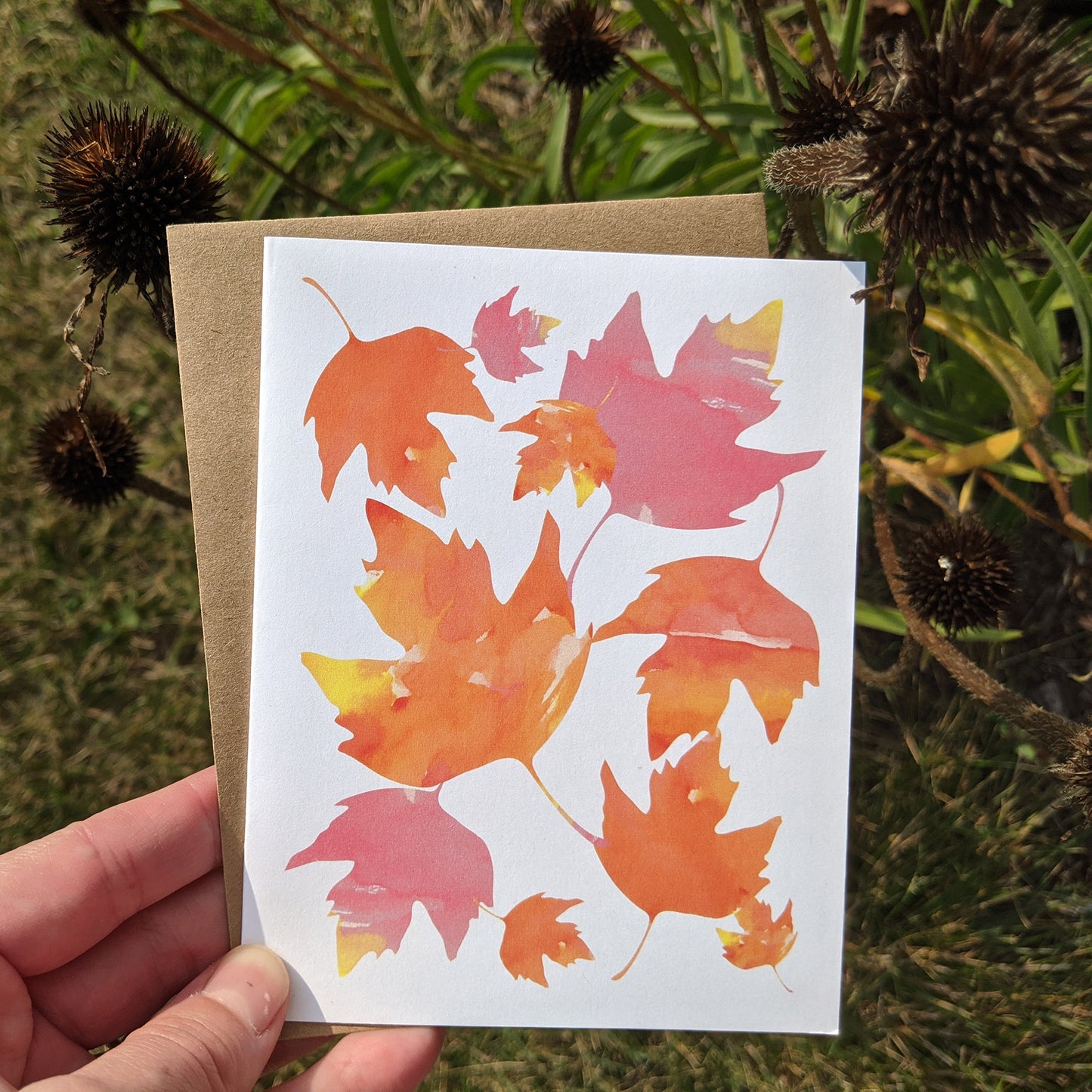 Hand holding a greeting card with plants in the background.