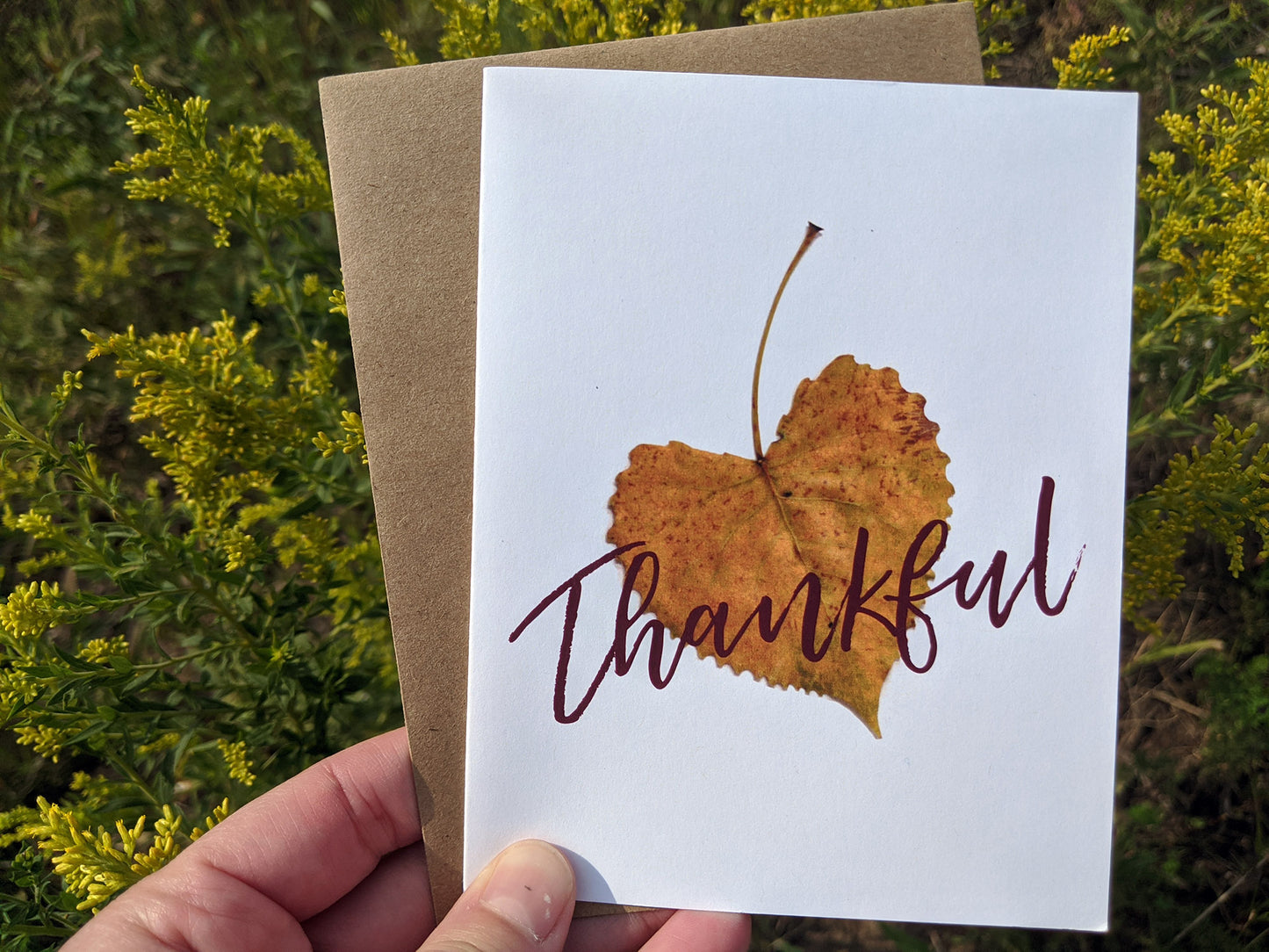 Hand holding a greeting card with plant leaves in the background.