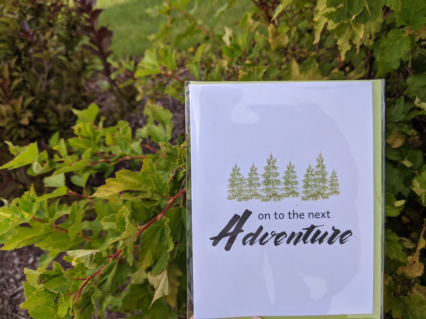 Hand holding a greeting card and colorful envelope in front of shrubs outdoors.