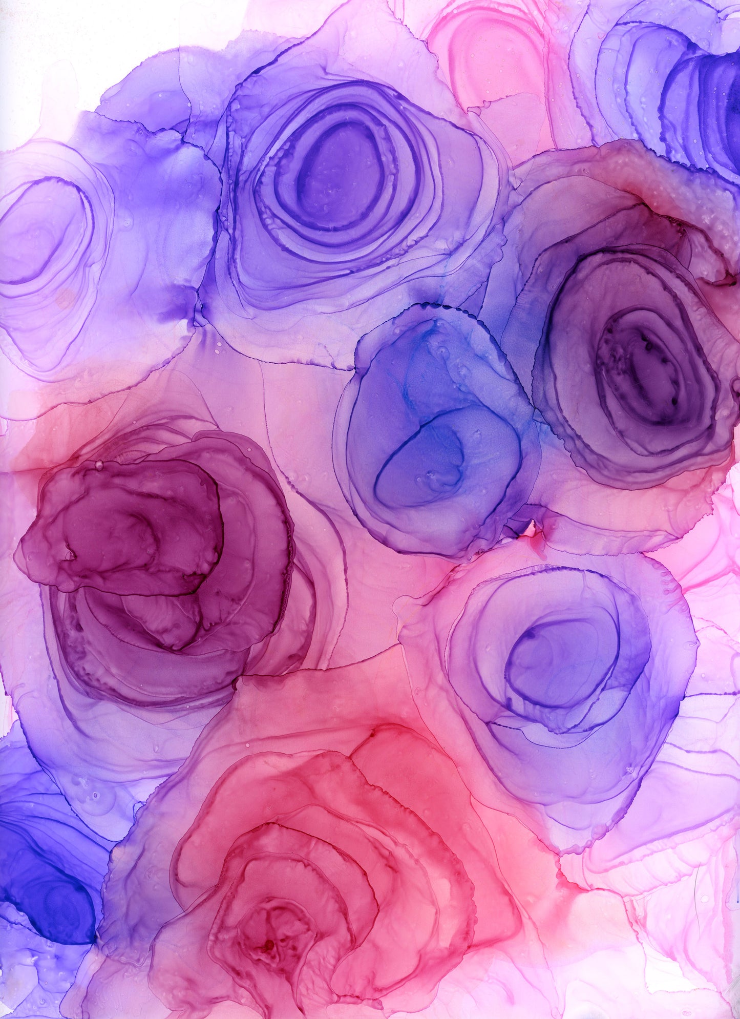 Blushing Blooms | original art