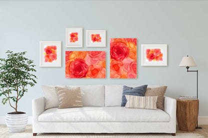 sunlit petals |  fine art print