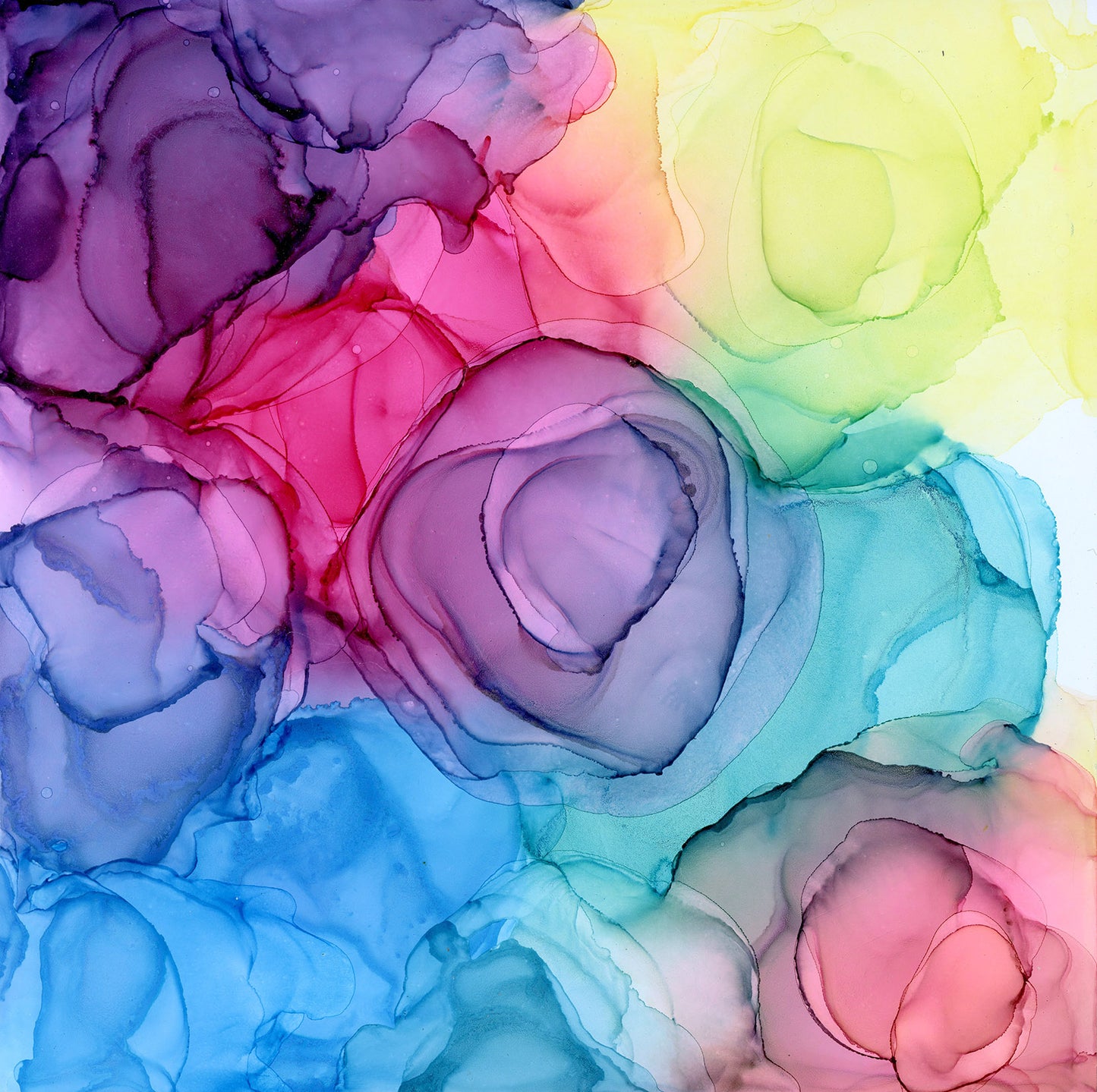 bloom shift I | abstract art original