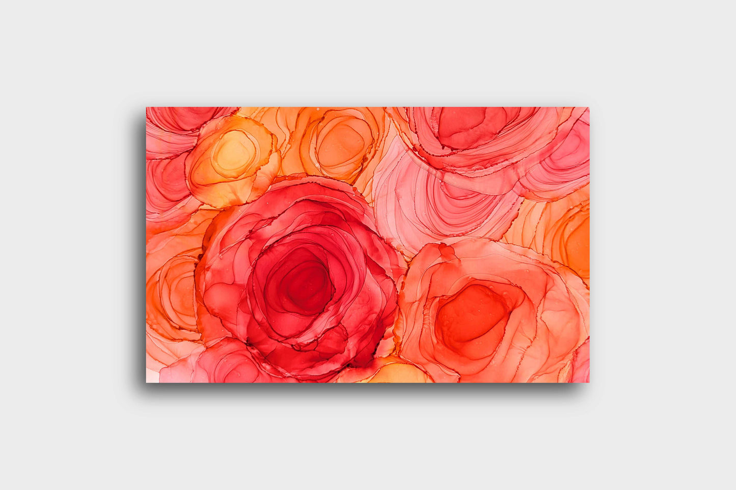 sunlit petals |  fine art print