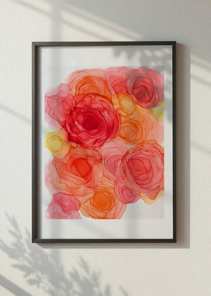 sunlit petals |  fine art print