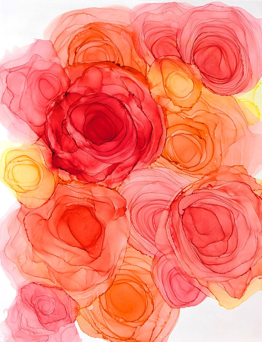 sunlit petals |  fine art print