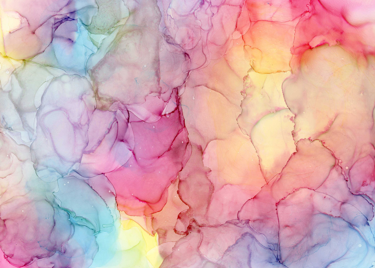 whispers of the cosmos |  fine art print